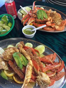 majormusthaves snapshots